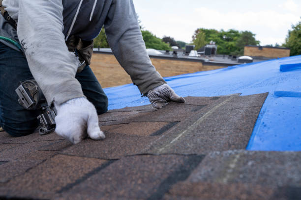 Roof Insulation in Quincy, IL